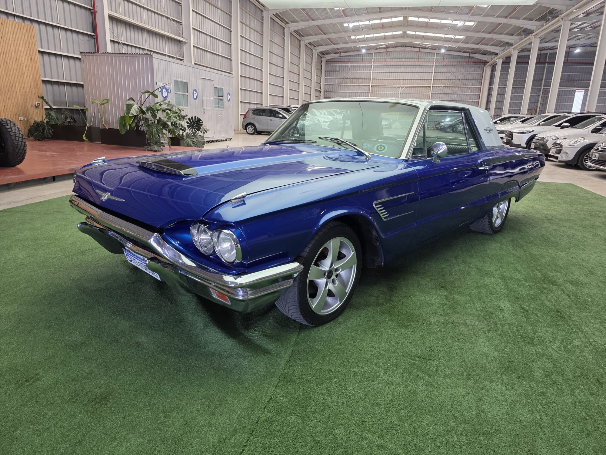 Ford Thunderbir 1965