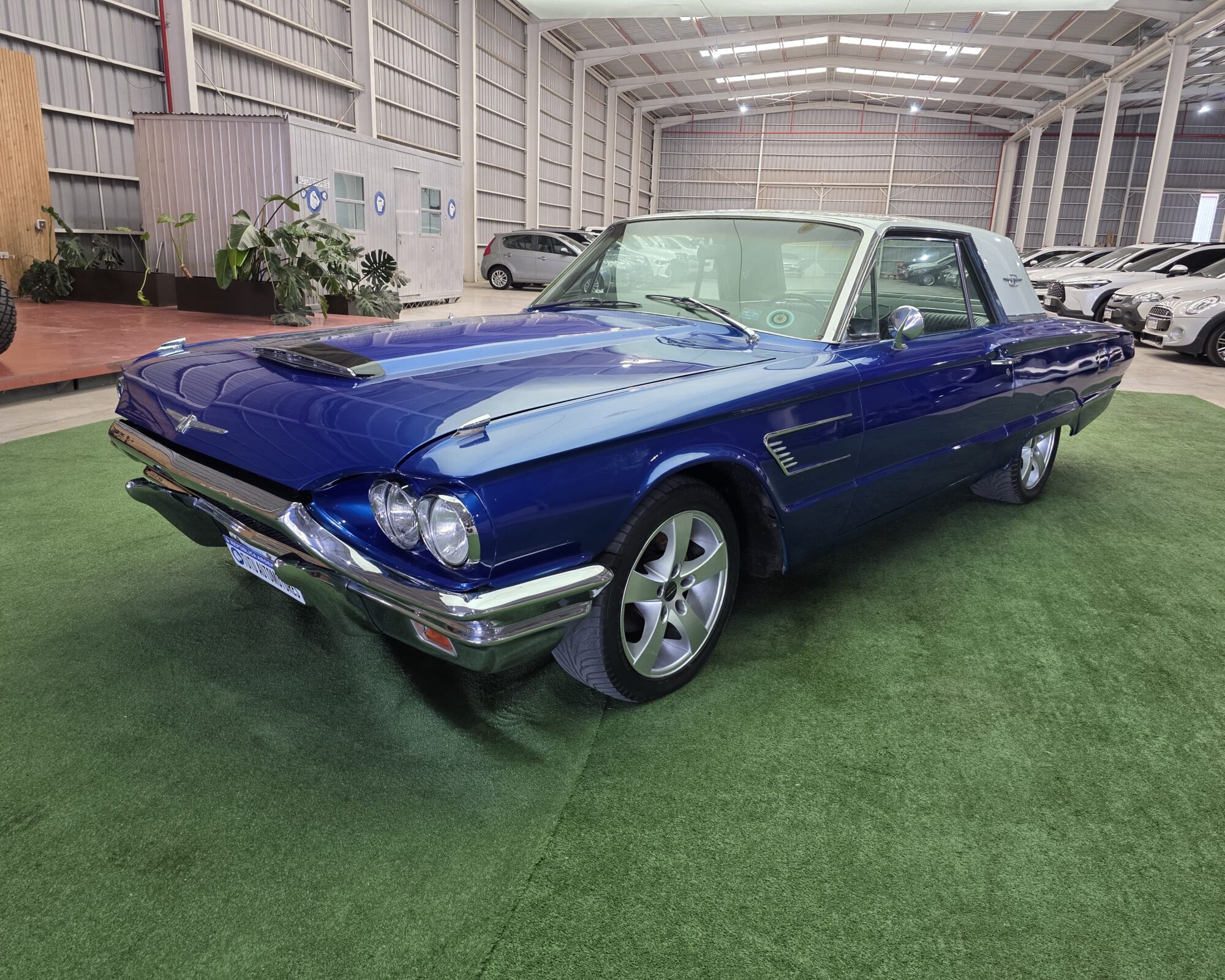 Ford Thunderbir 1965