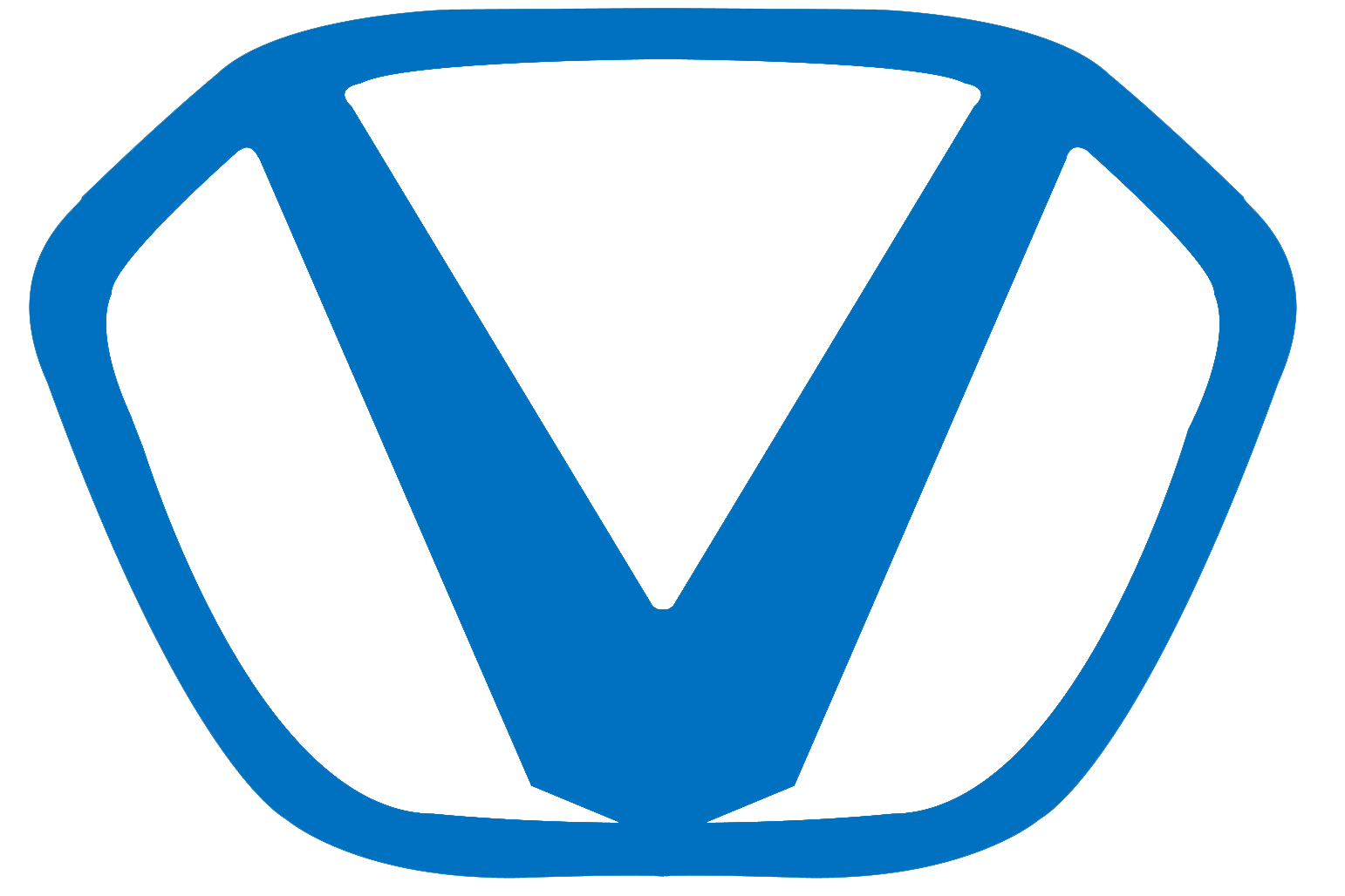 Victory Domy logo
