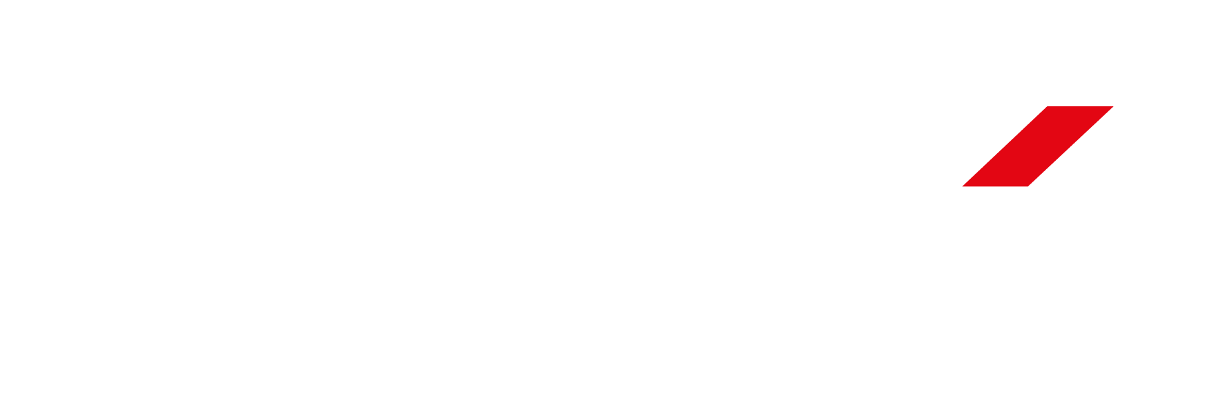 DFSK logotipo 02