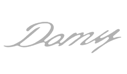 domy logo