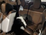 CITROEN C3 AIRCROSS T200SHINE 7 MY24 - Image 23
